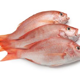Red Fish