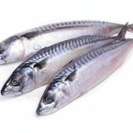 Salmon Mackerel (Local)